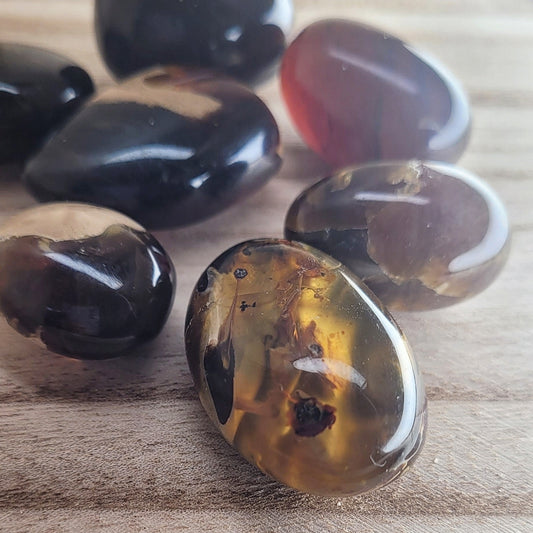 Tumbled Amber