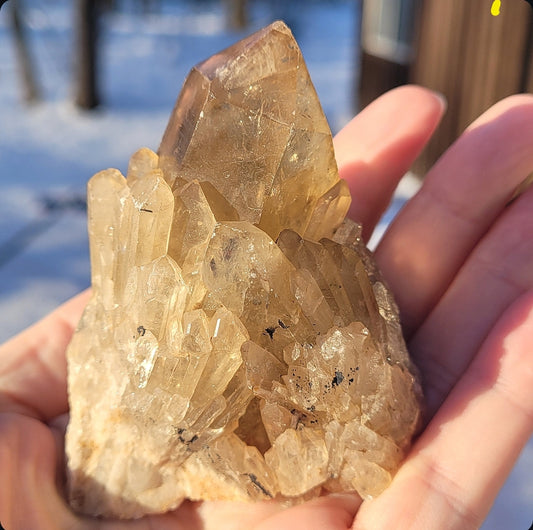 Natural Elestial (Kundalini) Citrine Cluster