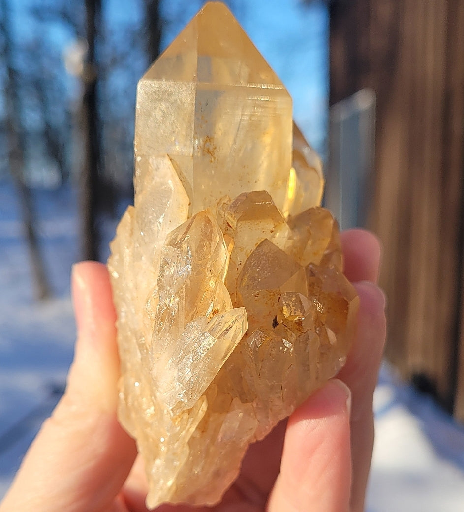 Natural Elestial (Kundalini) Citrine Cluster
