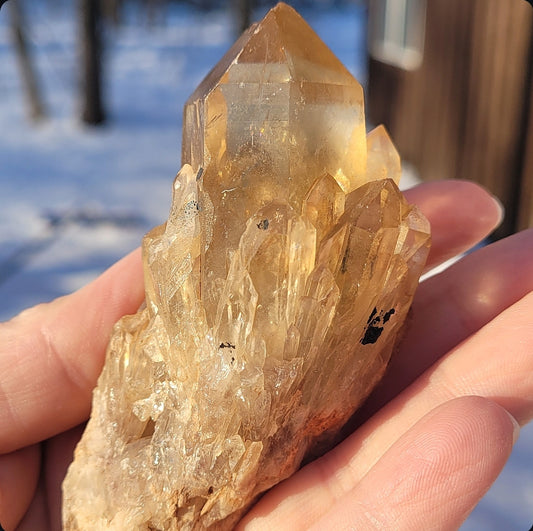 Natural Elestial (Kundalini) Citrine Cluster