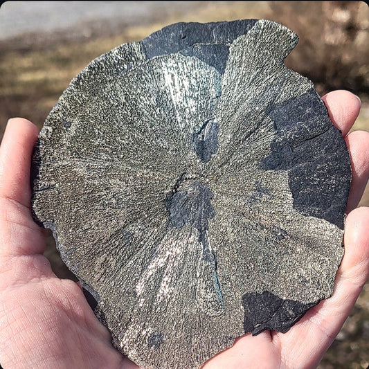 Pyrite Sun