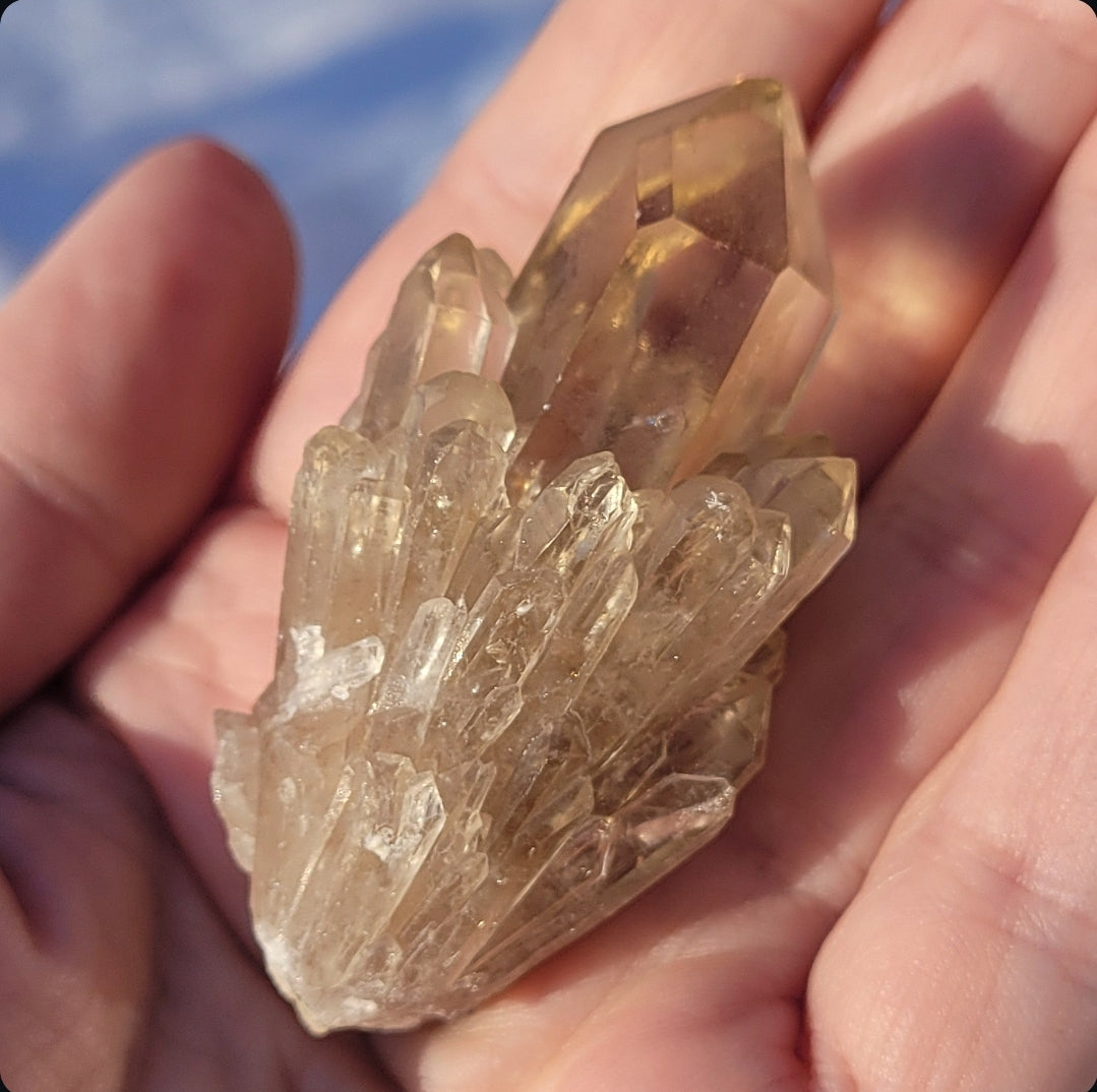Natural Elestial (Kundalini) Citrine Cluster