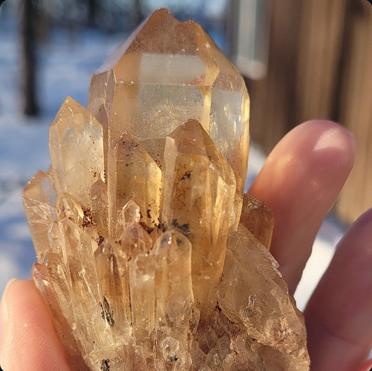 Natural Elestial (Kundalini) Citrine Cluster