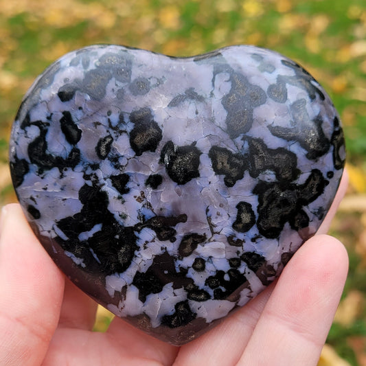 Indigo Gabbro Heart
