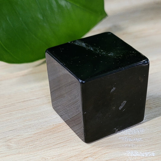 Shungite Cube