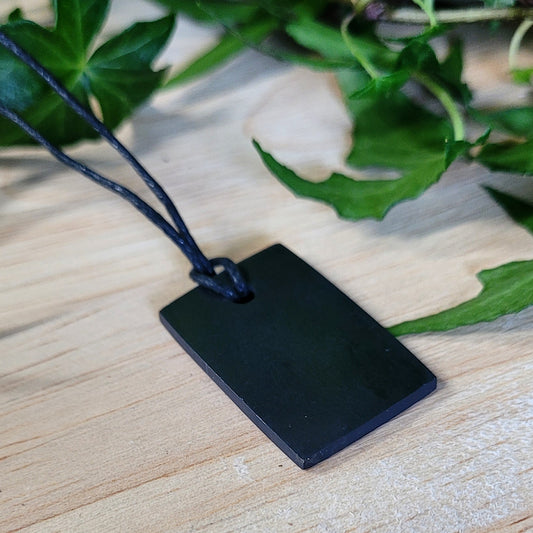 Shungite Pendant