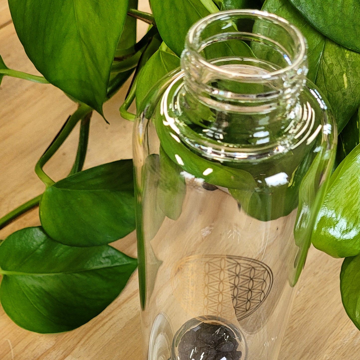 Shungite Water Bottle