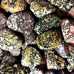 Leopard Skin Jasper