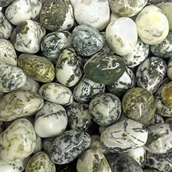 Tree Agate