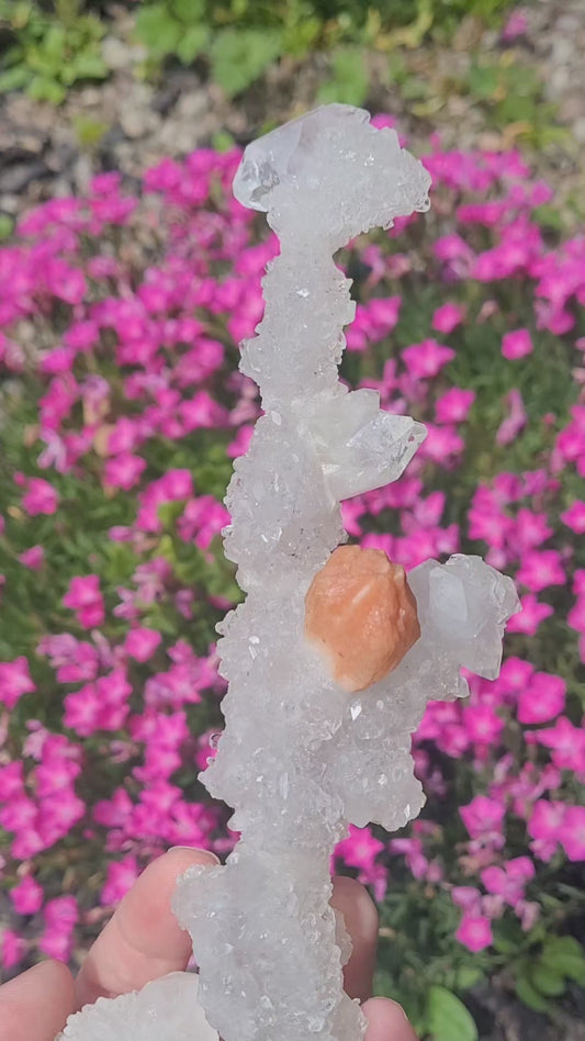 Skeletal Apophyllite with Sillbite "Flower"