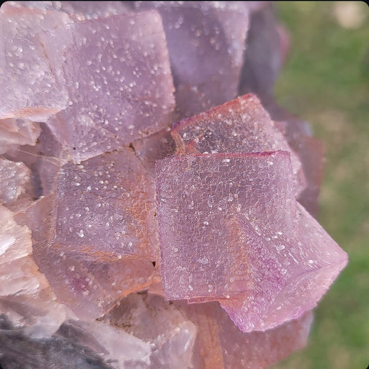 Pink Fluorite Specimen