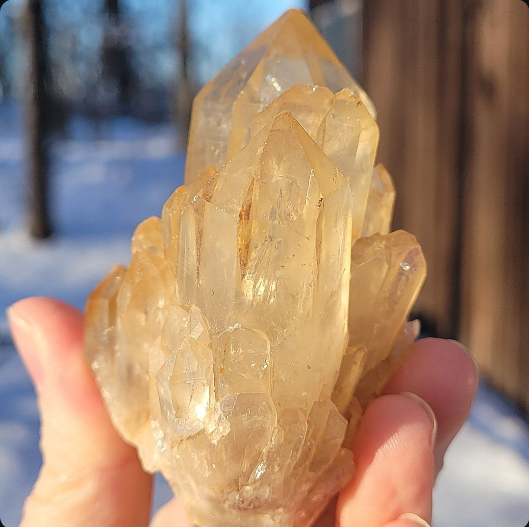 Natural Elestial (Kundalini) Citrine Cluster