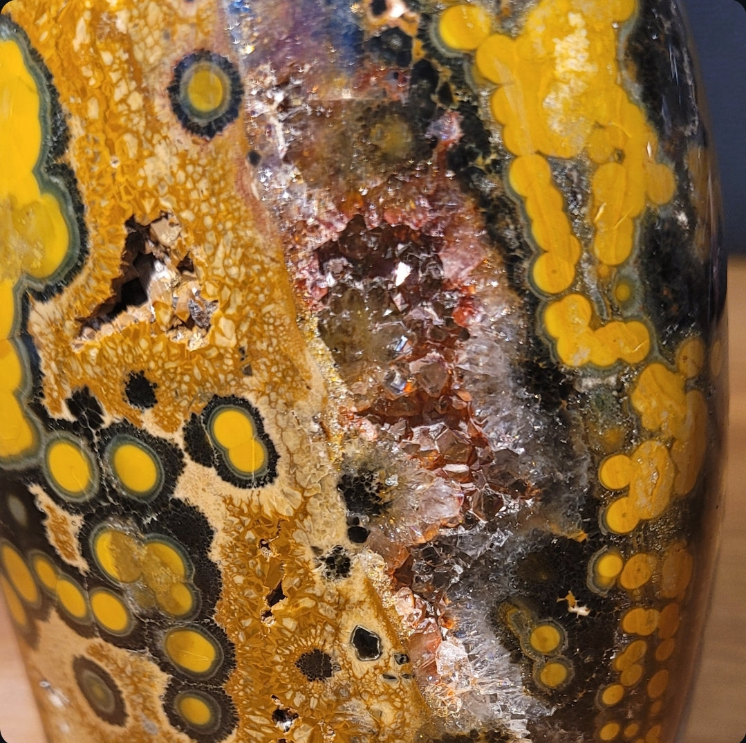 Kabamby Ocean Jasper Freeform with Red Druzy