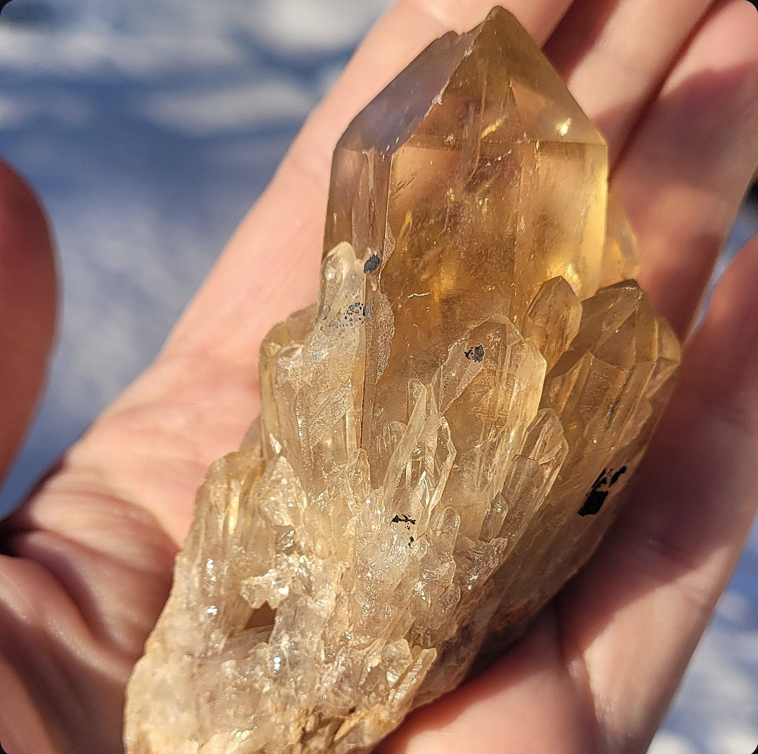 Natural Elestial (Kundalini) Citrine Cluster