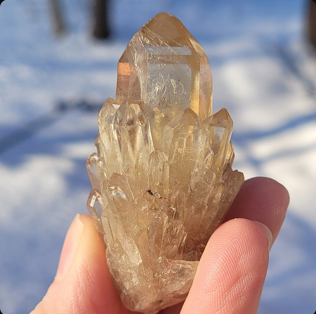 Natural Elestial (Kundalini) Citrine Cluster