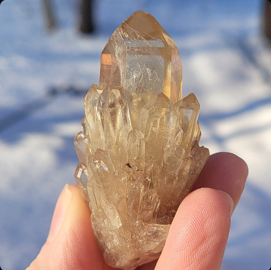 Natural Elestial (Kundalini) Citrine Cluster