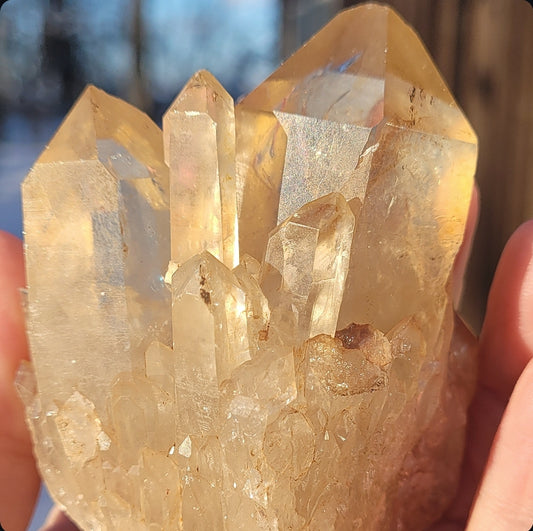 Natural Elestial (Kundalini) Citrine Cluster