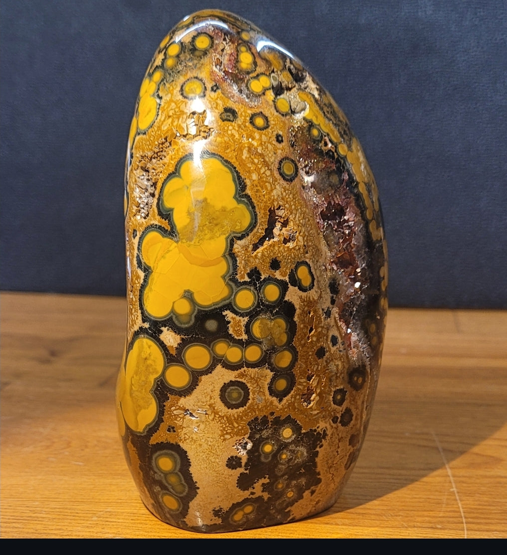 Kabamby Ocean Jasper Freeform with Red Druzy