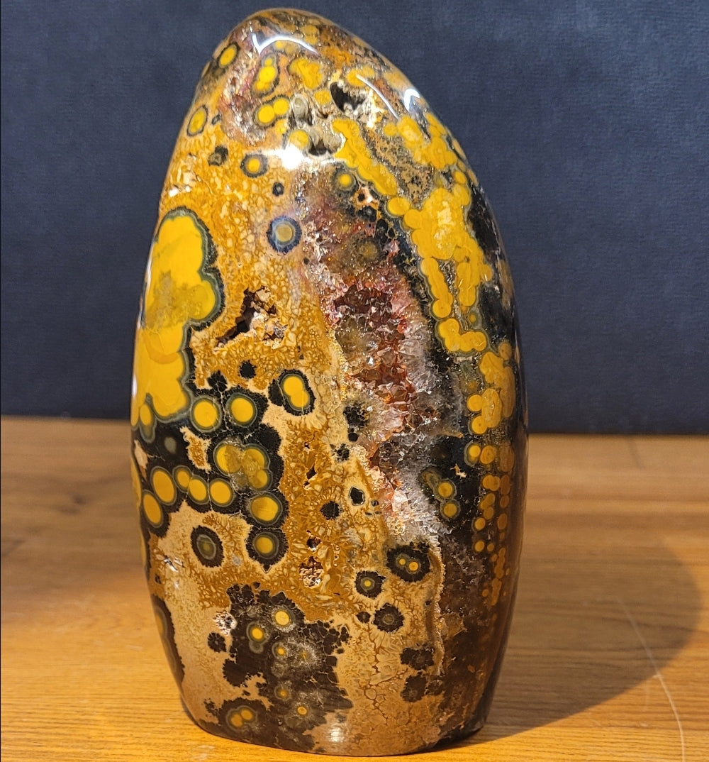 Kabamby Ocean Jasper Freeform with Red Druzy