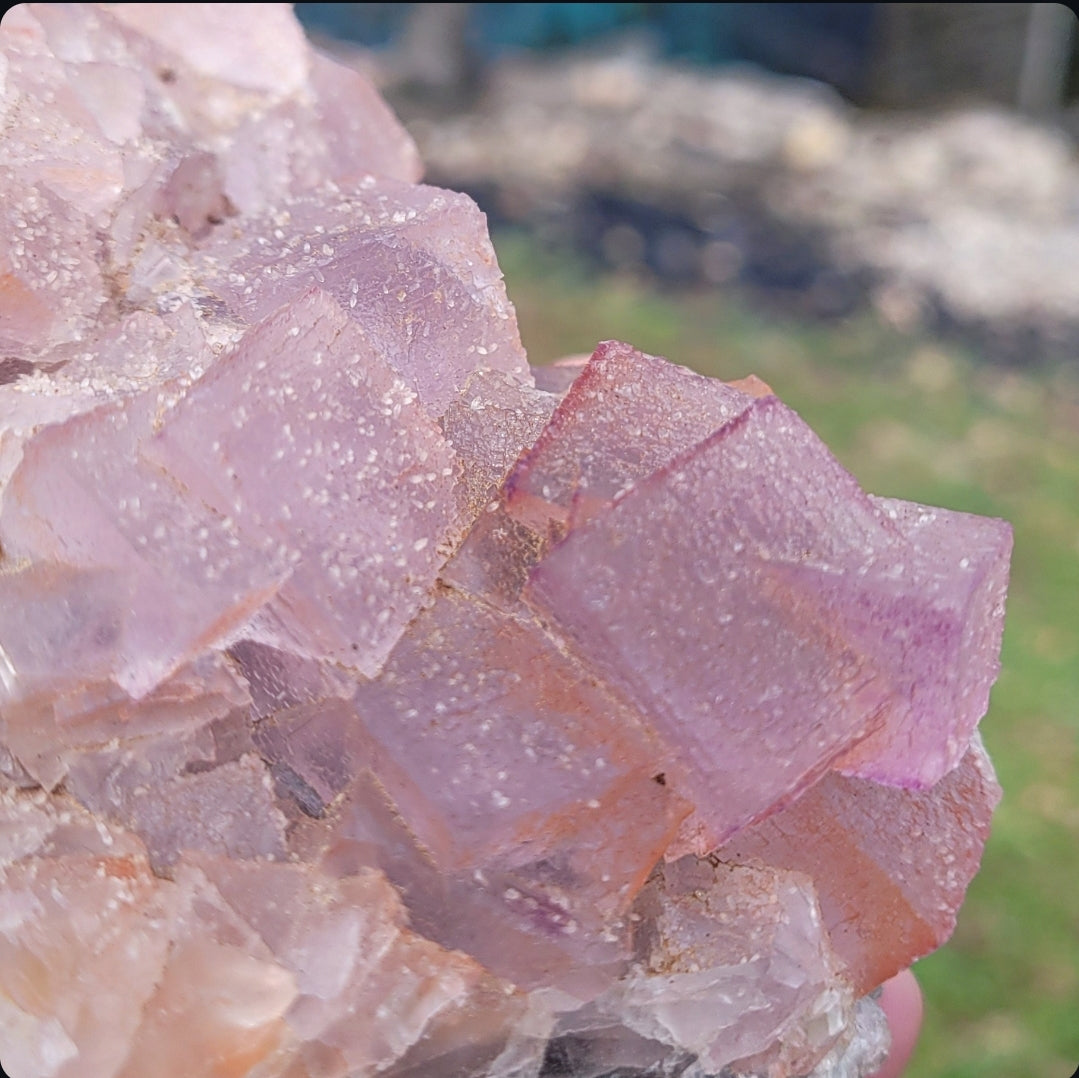 Pink Fluorite Specimen