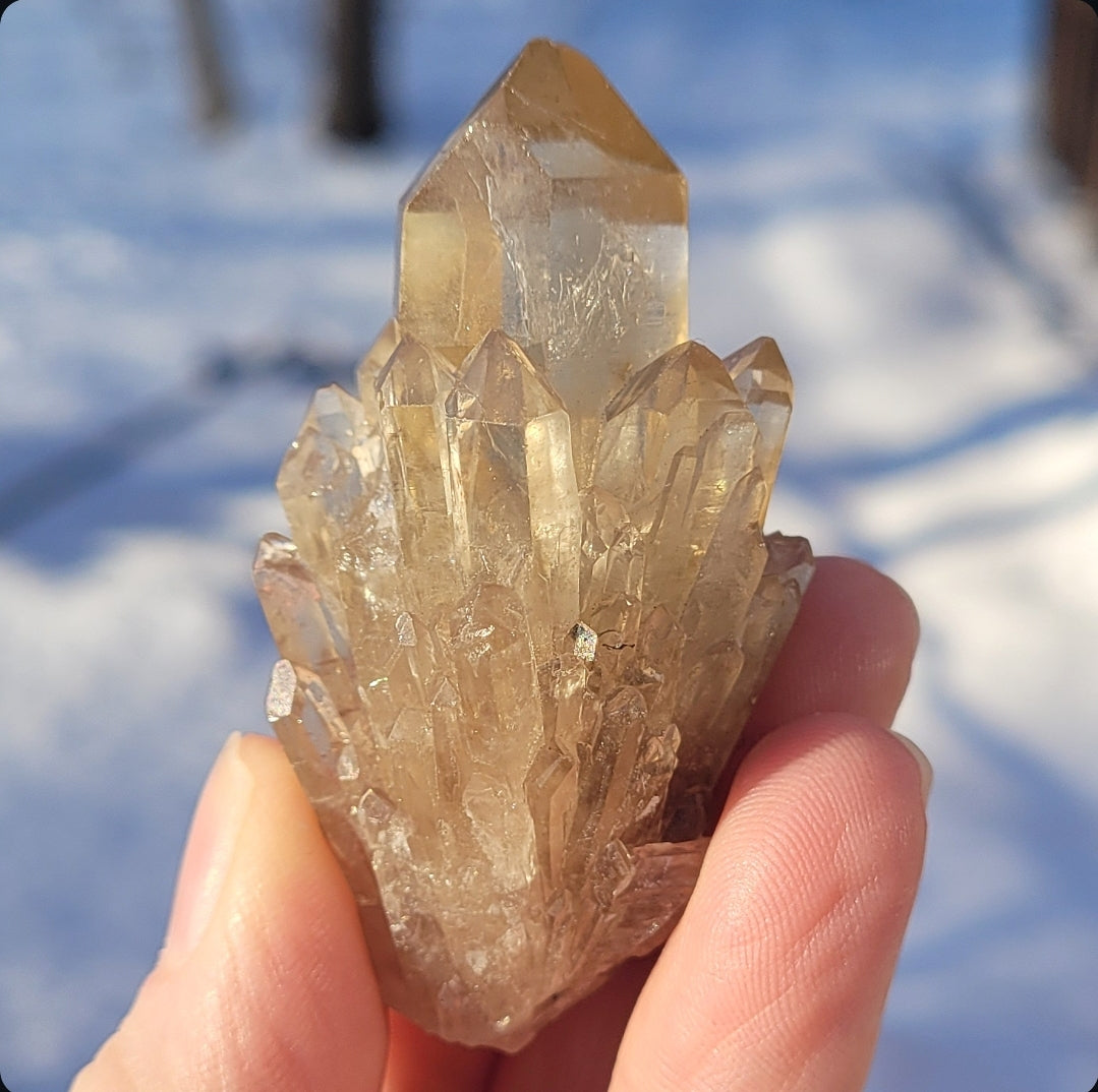 Natural Elestial (Kundalini) Citrine Cluster