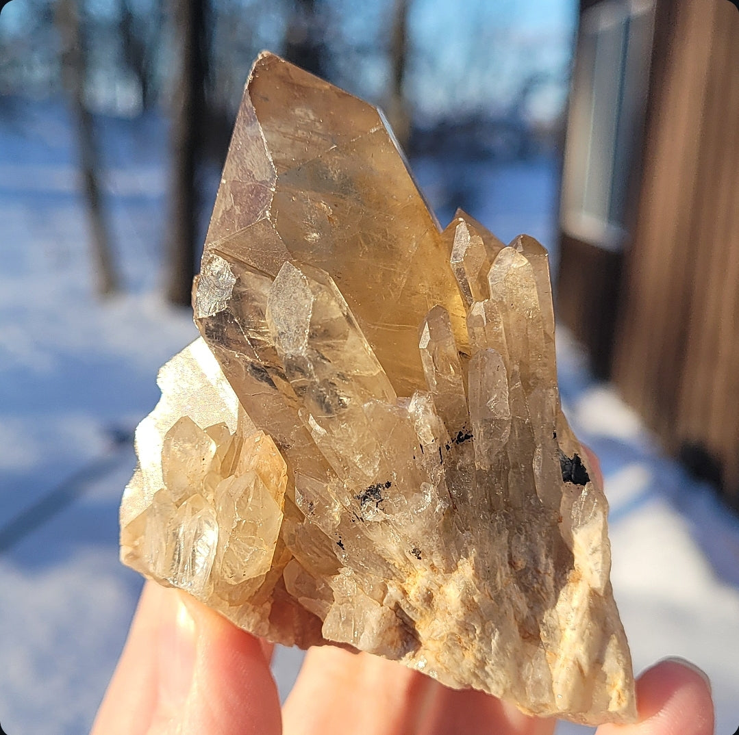 Natural Elestial (Kundalini) Citrine Cluster
