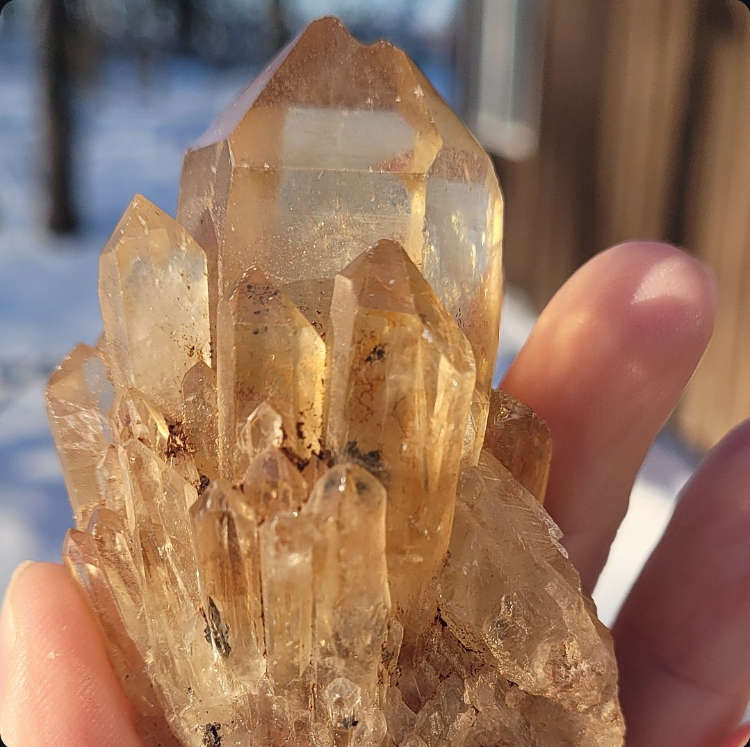 Natural Elestial (Kundalini) Citrine Cluster