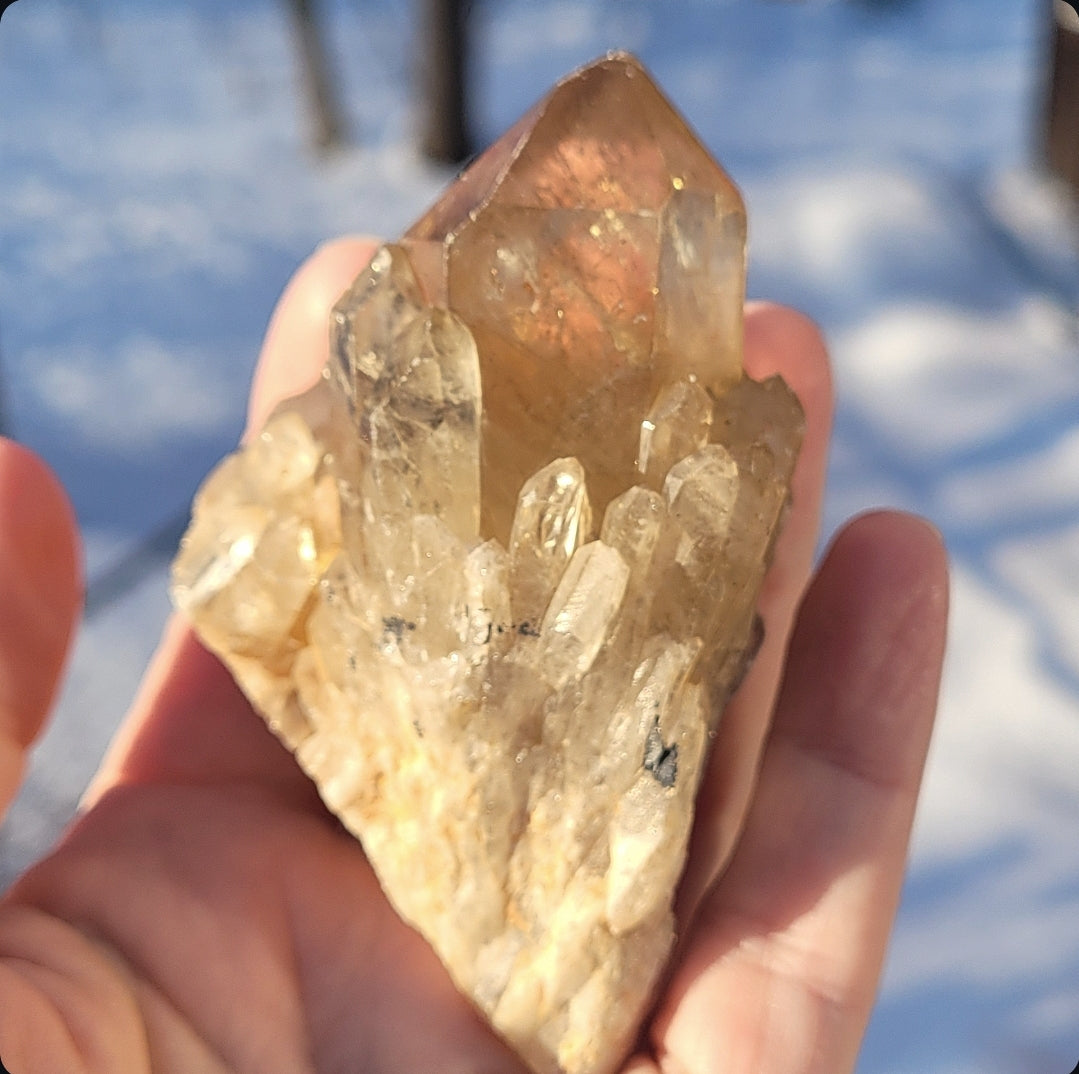 Natural Elestial (Kundalini) Citrine Cluster