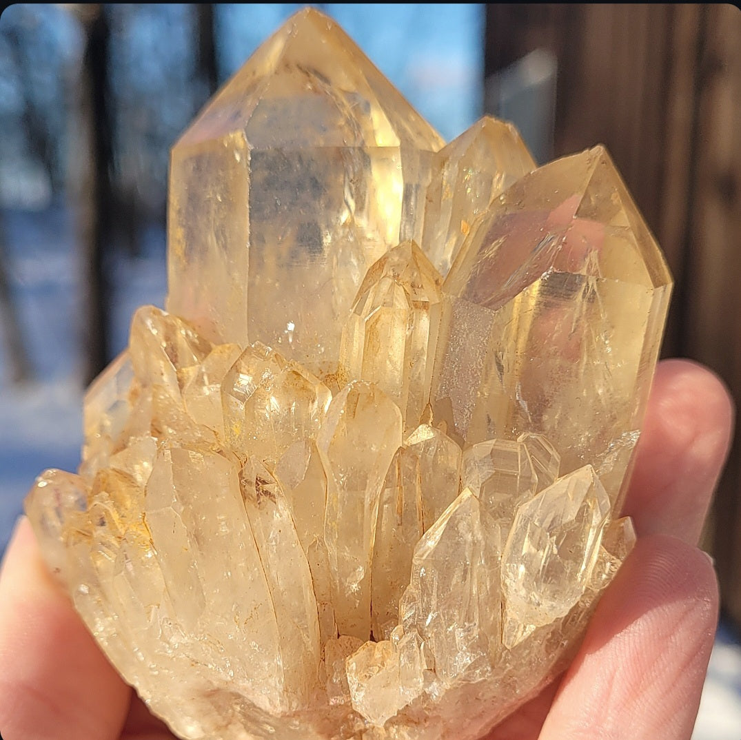 Natural Elestial (Kundalini) Citrine Cluster