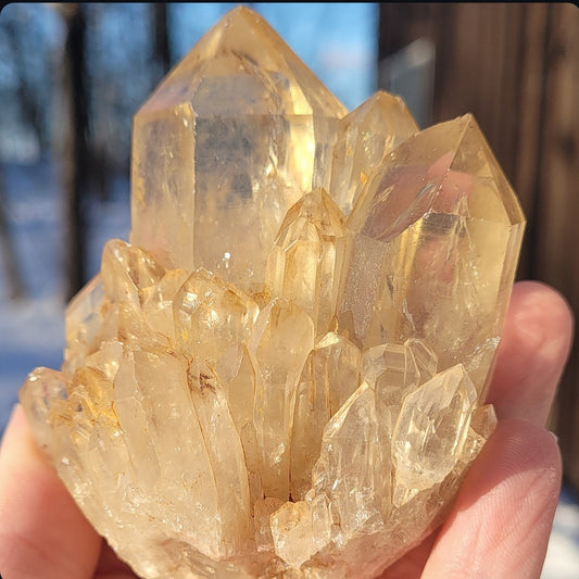 Natural Elestial (Kundalini) Citrine Cluster