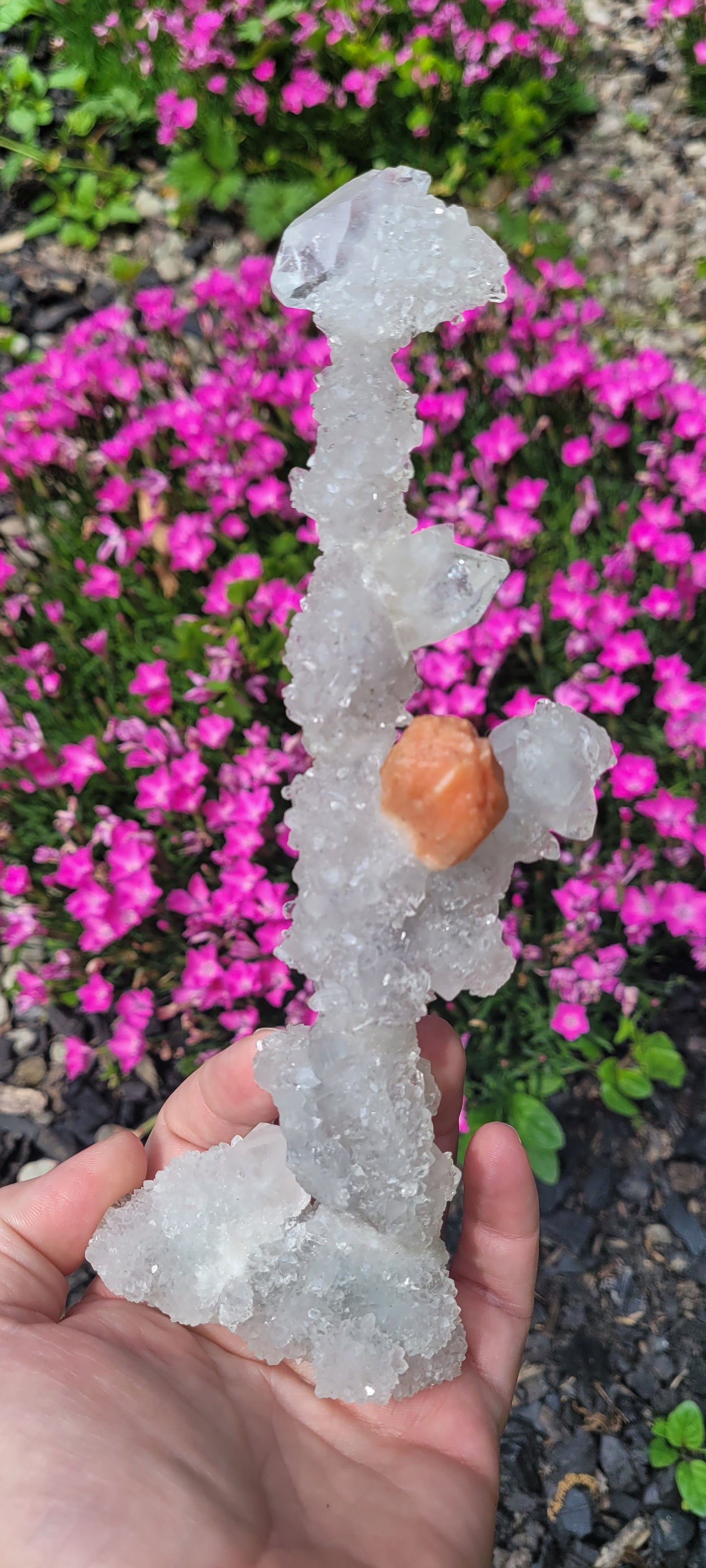 Skeletal Apophyllite with Sillbite "Flower"