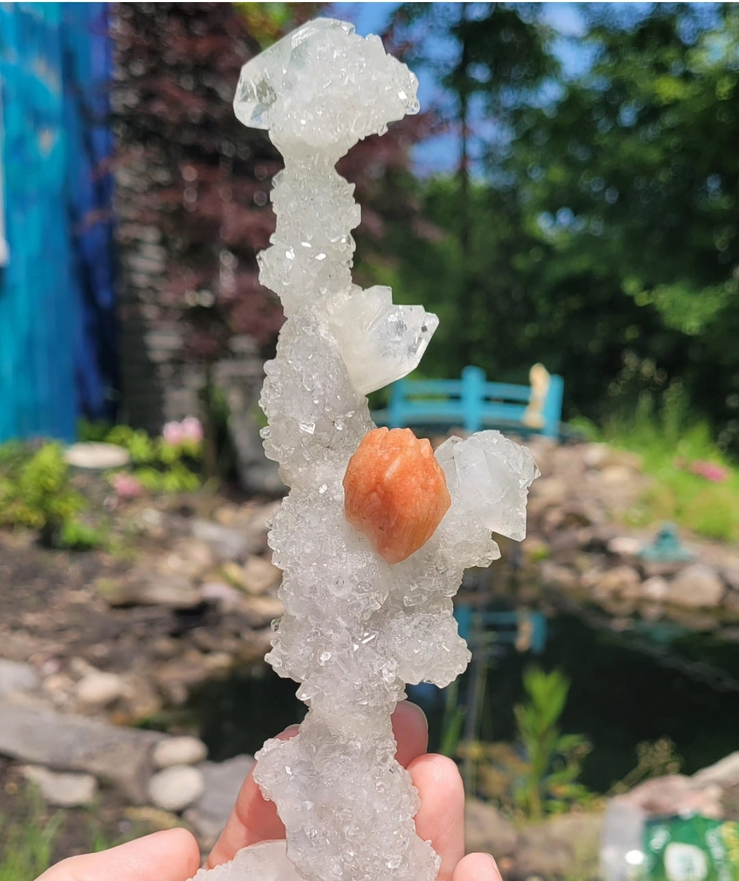 Skeletal Apophyllite with Sillbite "Flower"