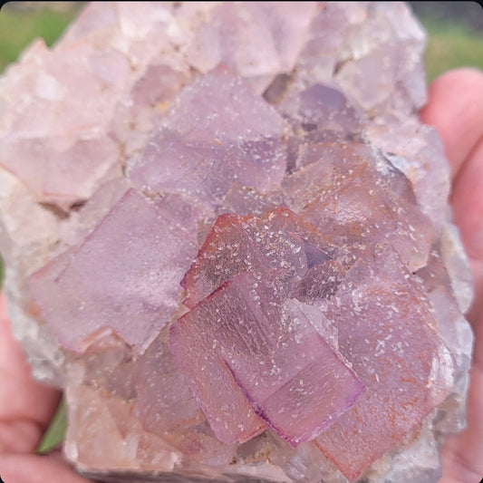 Pink Fluorite Specimen
