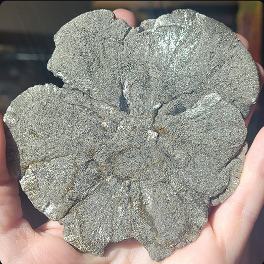 Pyrite Sun