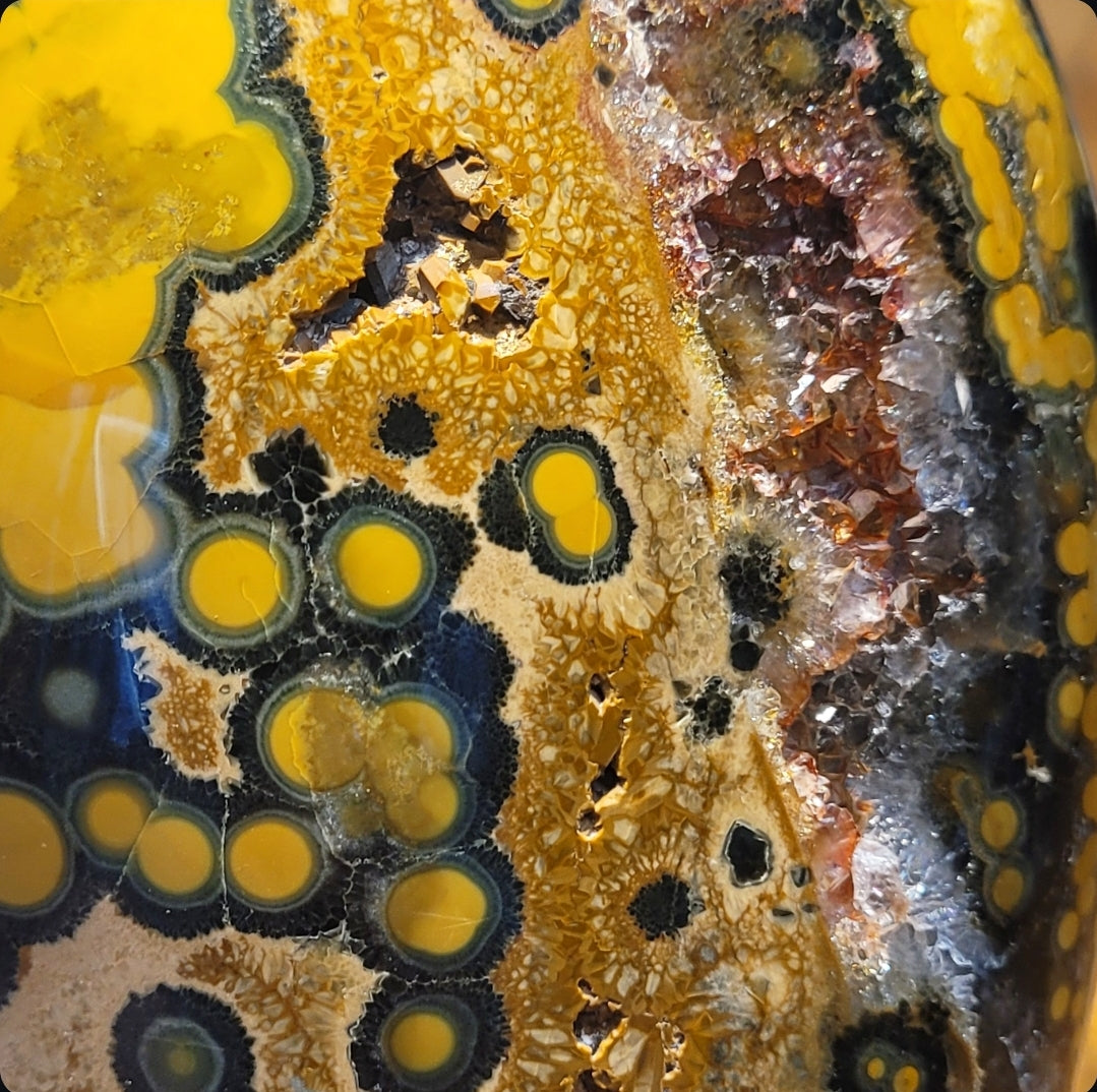 Kabamby Ocean Jasper Freeform with Red Druzy