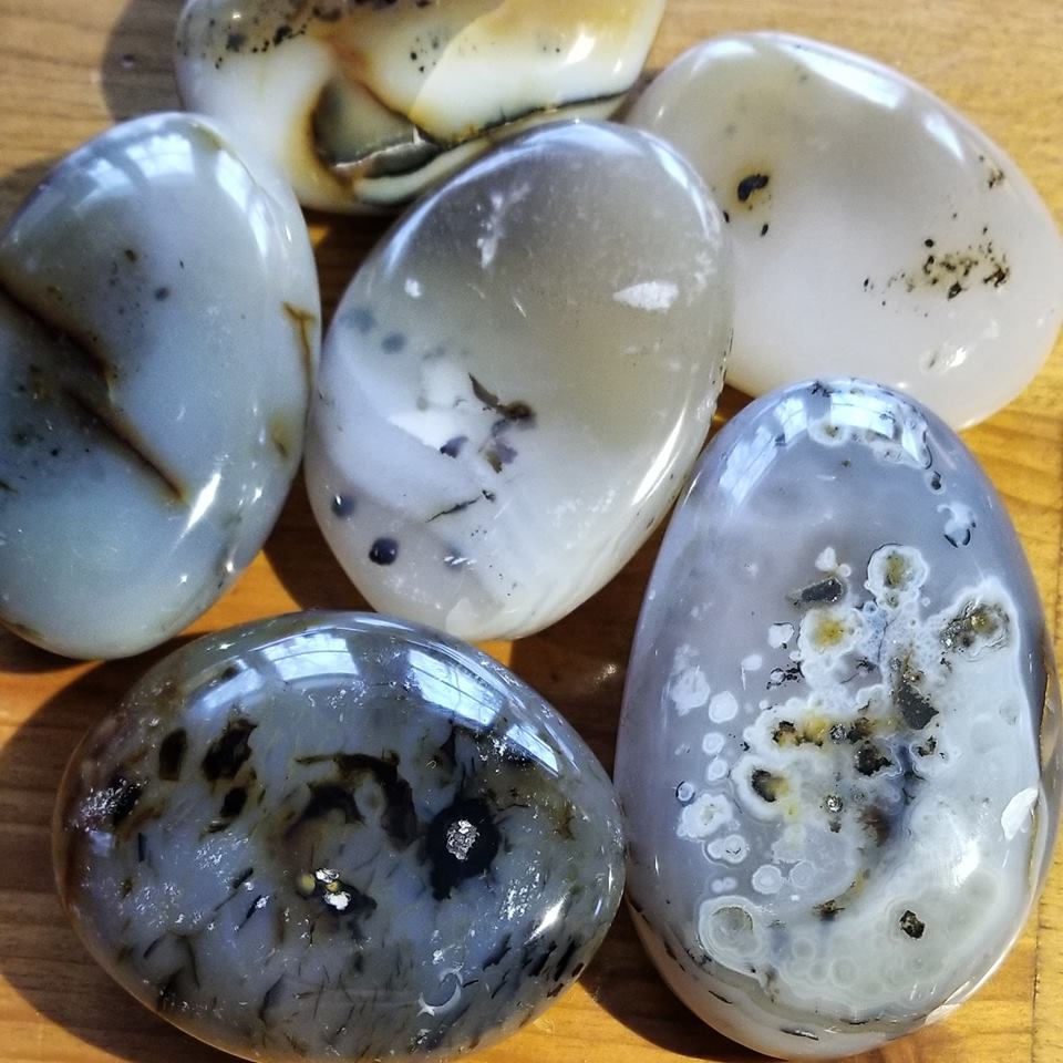 Dendritic Agate Palms