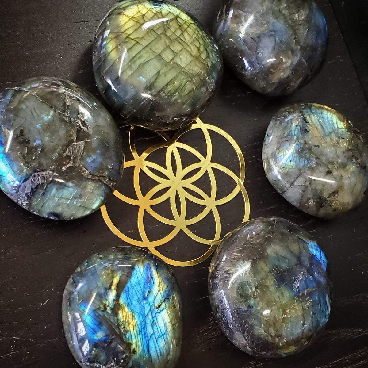 Labradorite Palms
