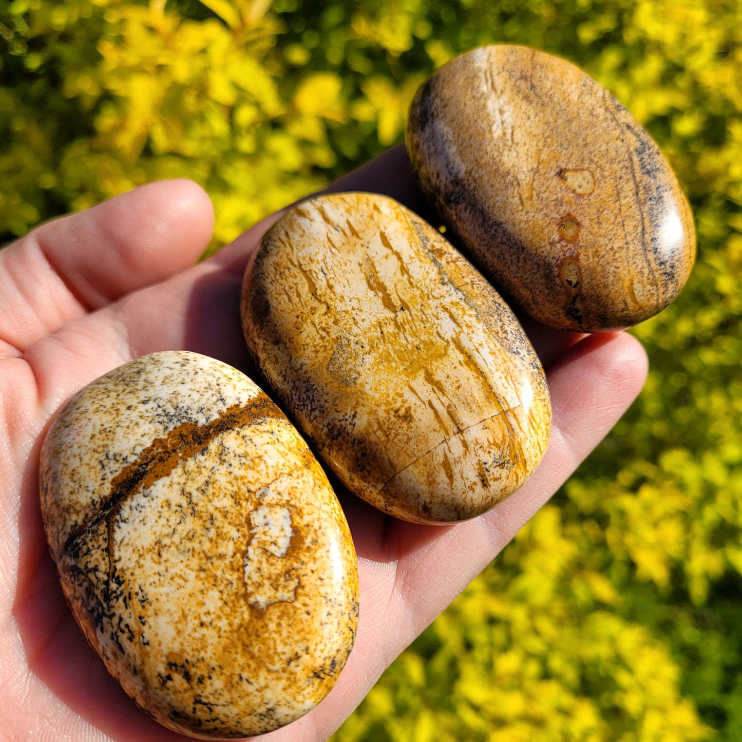 Picture Jasper Palm stone