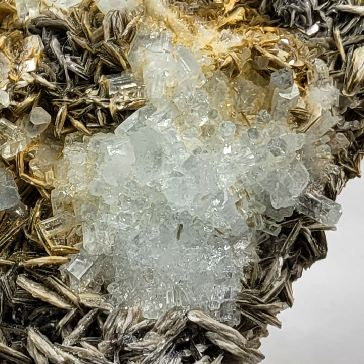Aquamarine Cluster